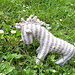 Knitted Zebra pattern 