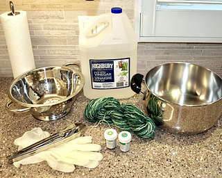 27 Aug. Deep breath. Getting ready to dye. 