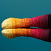 Perennial Socks pattern 