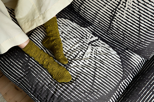 Caliandra - Paula Pereira