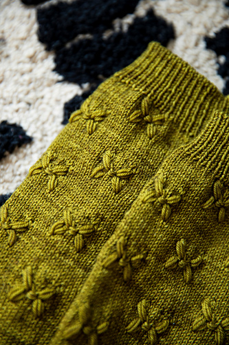 Caliandra - Paula Pereira