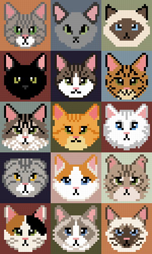C2C Cats of the World
