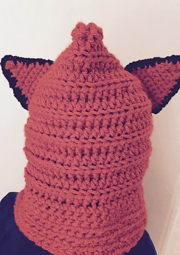 Farrington Fox Hoodie photo 1