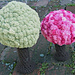 Cherry BLossom Tree (Fluff Tree) pattern
