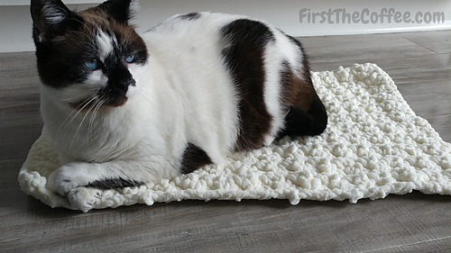 How to Crochet a Cat Mat 