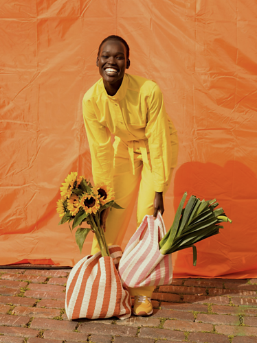 Linja - Laine Publishing