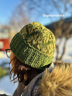 Bildet er lånt med tillatelse fra Brit Helen Følstad, [Spillumstrikk](/people/Spillumstrikk) 