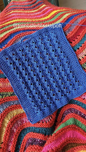 Bildet er lånt med tillatelse fra @trenostertilaskepott