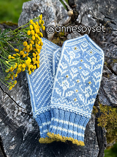 Bildet er lånt med tillatelse fra @annesoyset