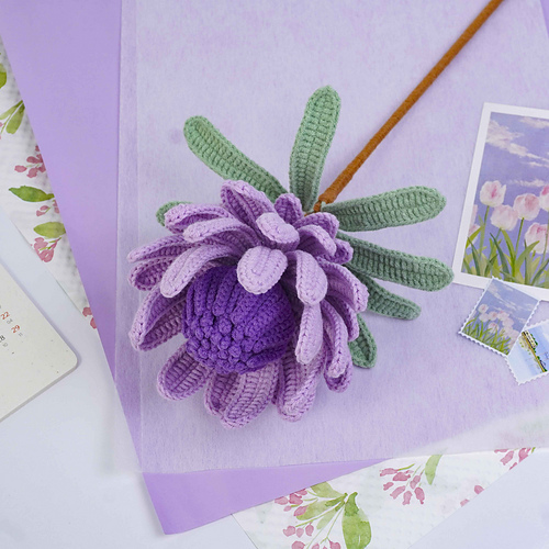 Princess Protea Flower