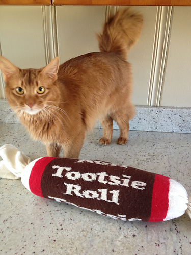 Tootsie Roll Bolster Pillow photo 1