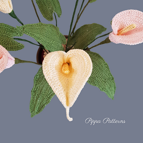 Calla Lily - Connie Rockliff