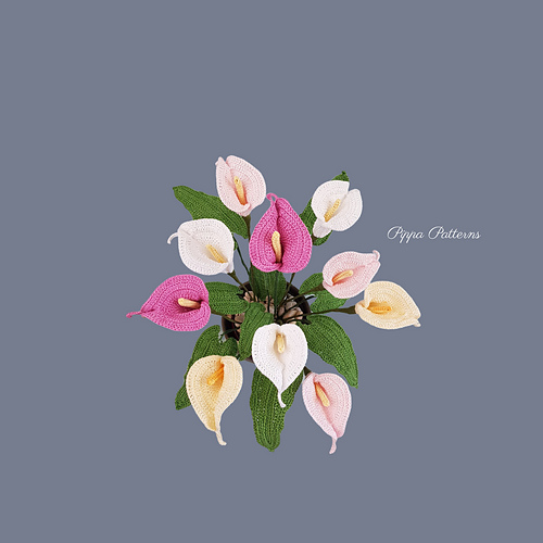 Calla Lily - Connie Rockliff