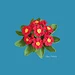 Primula pattern 