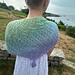 Spring Flowers Lace Shawl pattern 