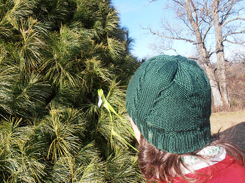 Coniferae - Miranda Grant