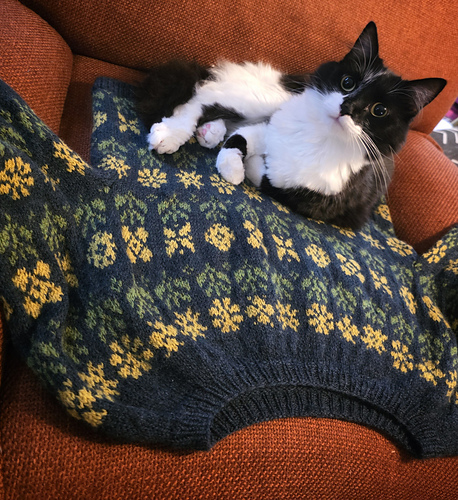 The Wild Garden Pullover 다른 모습 4