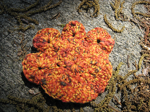 Paw Print Scrubbie photo 1