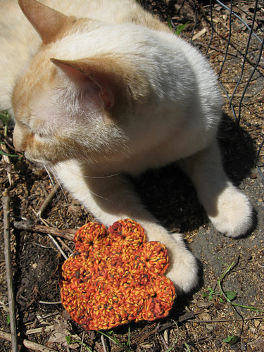 Paw Print Scrubbie photo 8