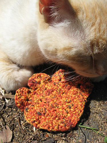 Paw Print Scrubbie photo 9