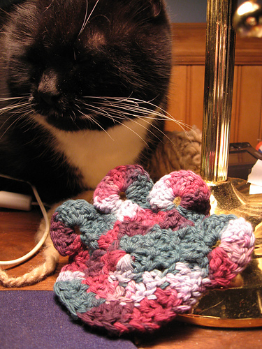 Paw Print Scrubbie photo 4