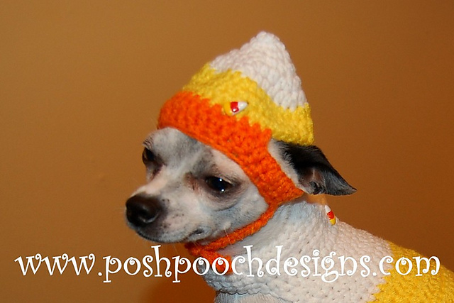 small dog beanie