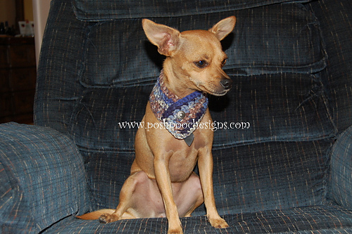 Button Scarf For Dogs photo 8
