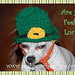 Leprechaun Hat photo 4