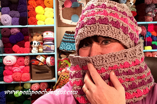 Lisa Ann Cowl and Ear Warmer photo 2