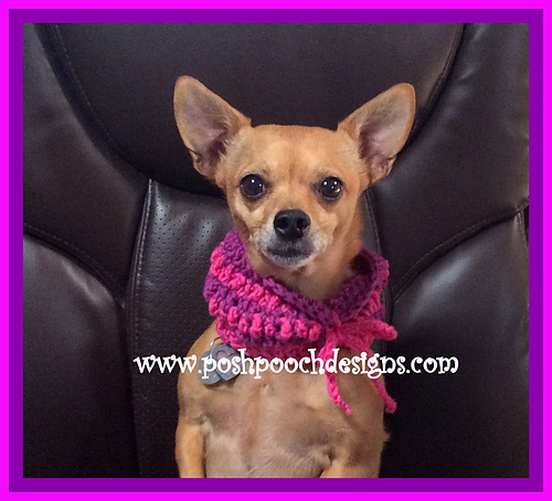 Dog Day Cowl photo 3
