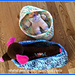 Cocoon Dog Beds photo 4