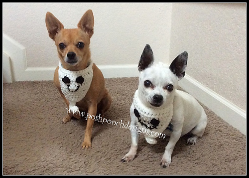 Ghost Dog Bandanna photo 1