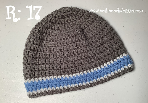 School Spirit Beanies photo 2