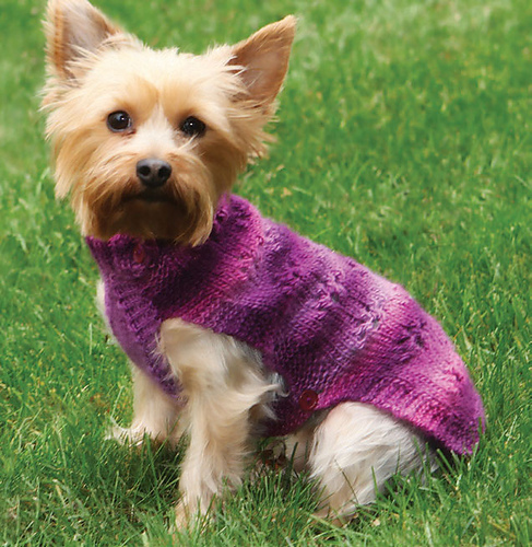 Paw Print Dog Sweater photo 2