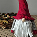 Christmas gnome photo 3