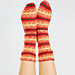 Farmstand Knit Socks pattern 