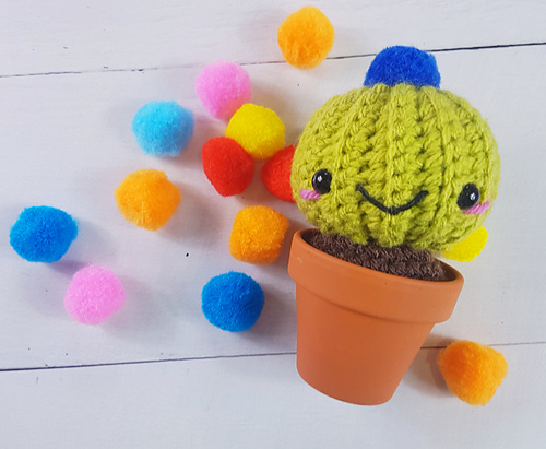 Chubby Cactus photo 2