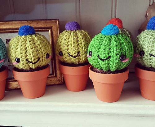 Chubby Cactus photo 7