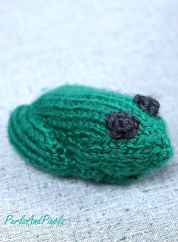 Little Frog photo 4