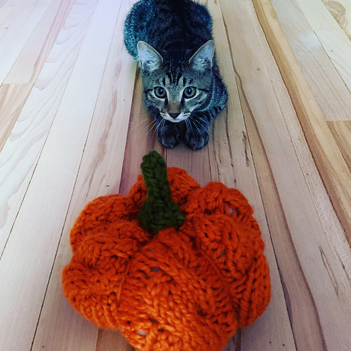 Ravelry Great Pumpkin Knit Along pattern by Purly Love
