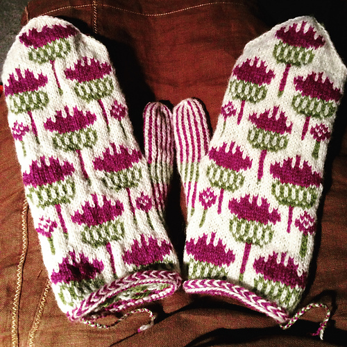 Vottene Hvitbladtistel / Melancholy Thistle - QueenMudd