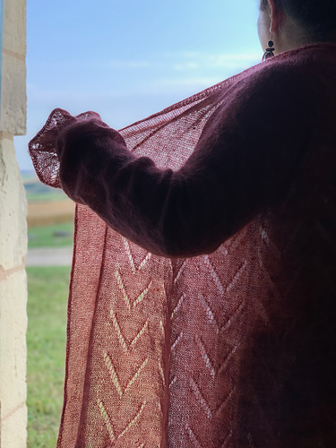 SUMAG Gilet De Magie Dove 6 Poches Pour Colombe Gros Plan Accessoires Magiques Apperring Dove Gimmick Accessoires Pour Magiciens