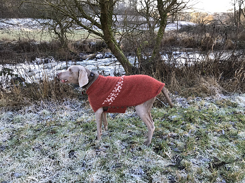 Hundepulli Maxi - dog sweater photo 8