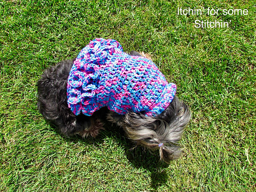 Ruffled Small Dog Sweater photo 2