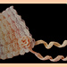 Rosie baby bonnet pattern 