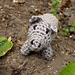 A Pocket Pig pattern 