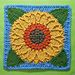 Sunflower Harvest Square pattern 