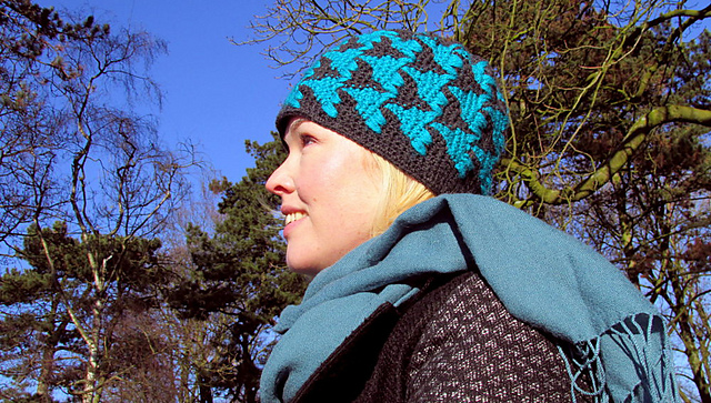 Two Birds Escher art hat
