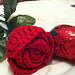 Roses photo 4