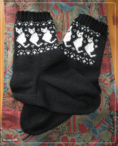 Black Cats Beanie photo 6